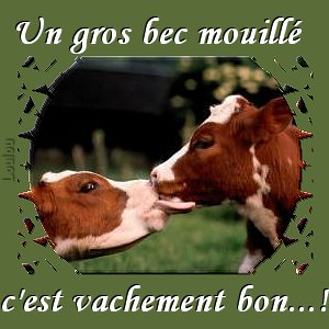 j'vous presente 2 copine a moi lollll elles se reconnaitrons p-e